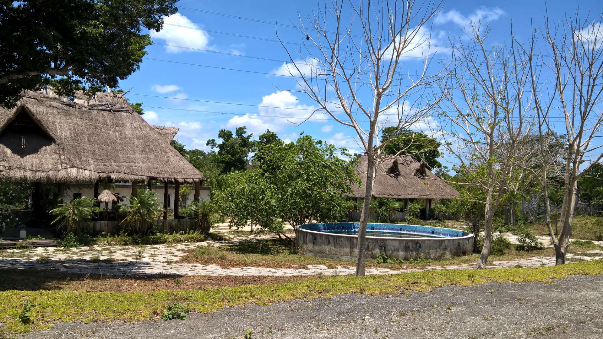 De enero a marzo, lo que se espera